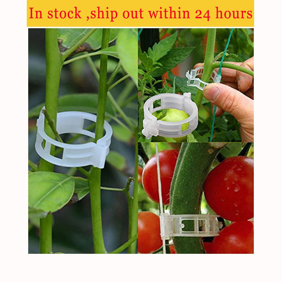 Reusable 25mm Plastic Plant Support Clips